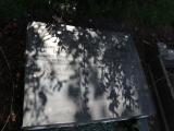 image of grave number 827898